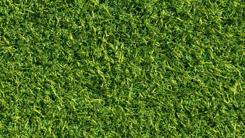 Artificial grass carpet background. Artificial grass.