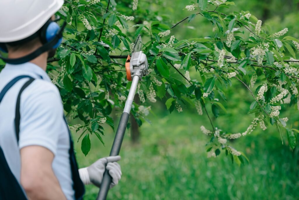 back view of gardener trimming trees with telescopic pole saw in park