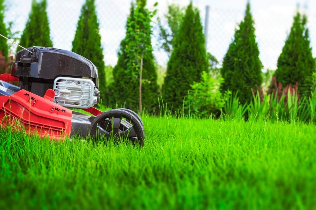 Lawn mower on green lawn